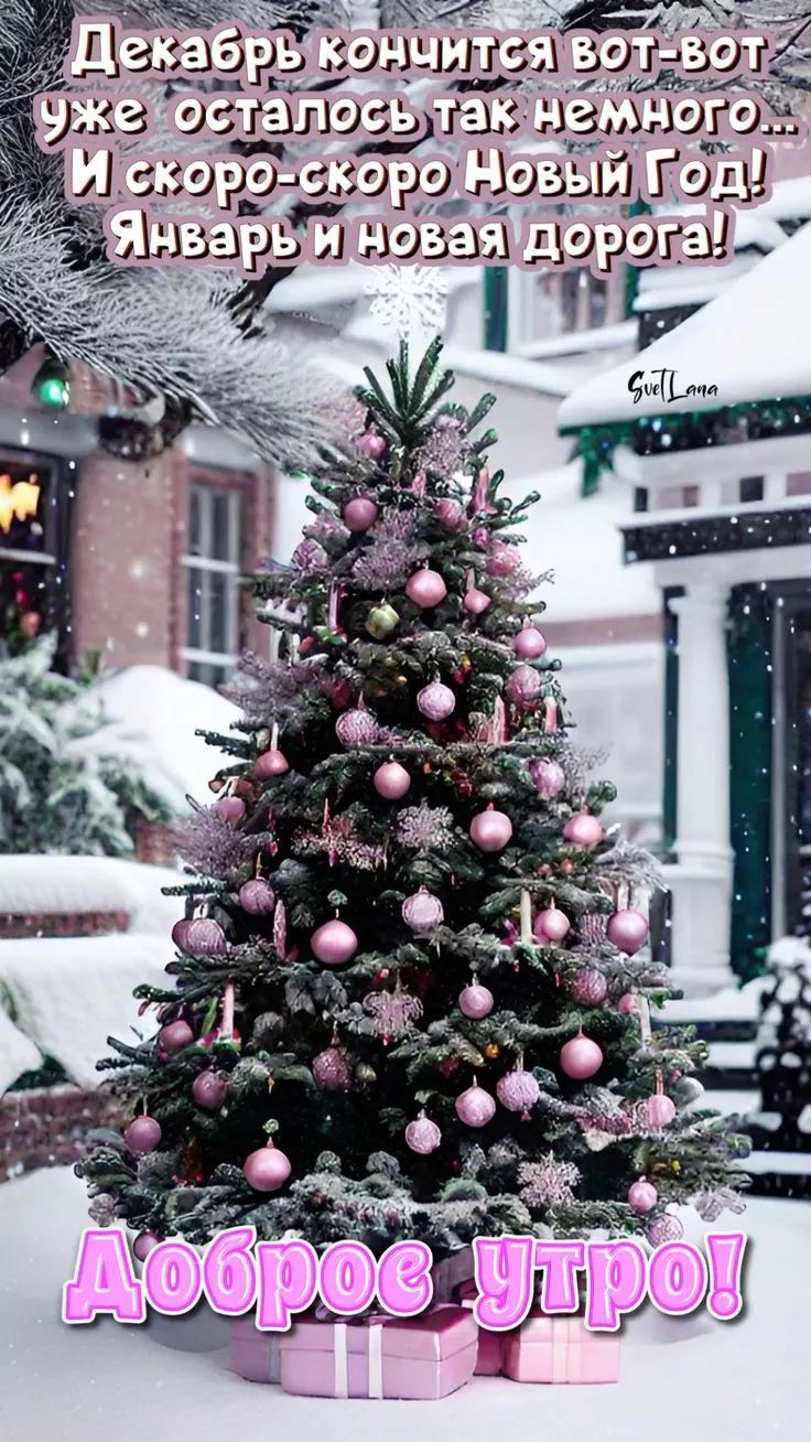 Декабрь кончится вот-вот Уже осталось так немножко... И скоро-sкоро Новый Год! Январь и новая дорога! Доброе утро!