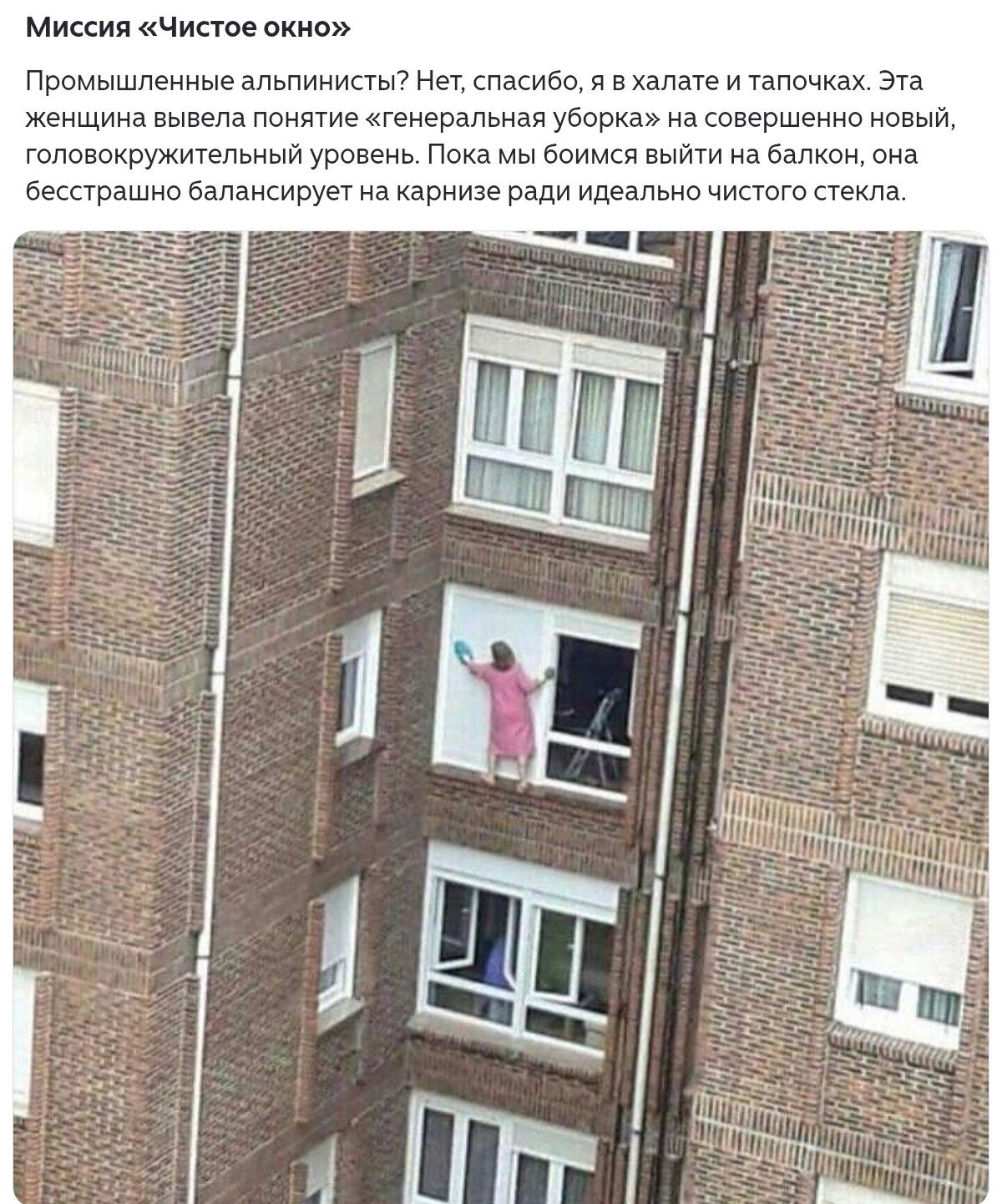Миссия «Чистое окно» Промышленные альпинисты? Нет, спасибо, я в халате и тапочках. Эта женщина вывела понятие «генеральная уборка» на совершенно новый, головокружительный уровень. Пока мои боюсь выйти на балкон, она бесстрашно балансирует на карнизе ради идеально чистого стекла.