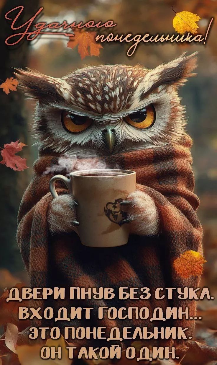 Удачного понедельника!
Двери пнул без стука. Входит господин... Это понедельник. Он такой один.