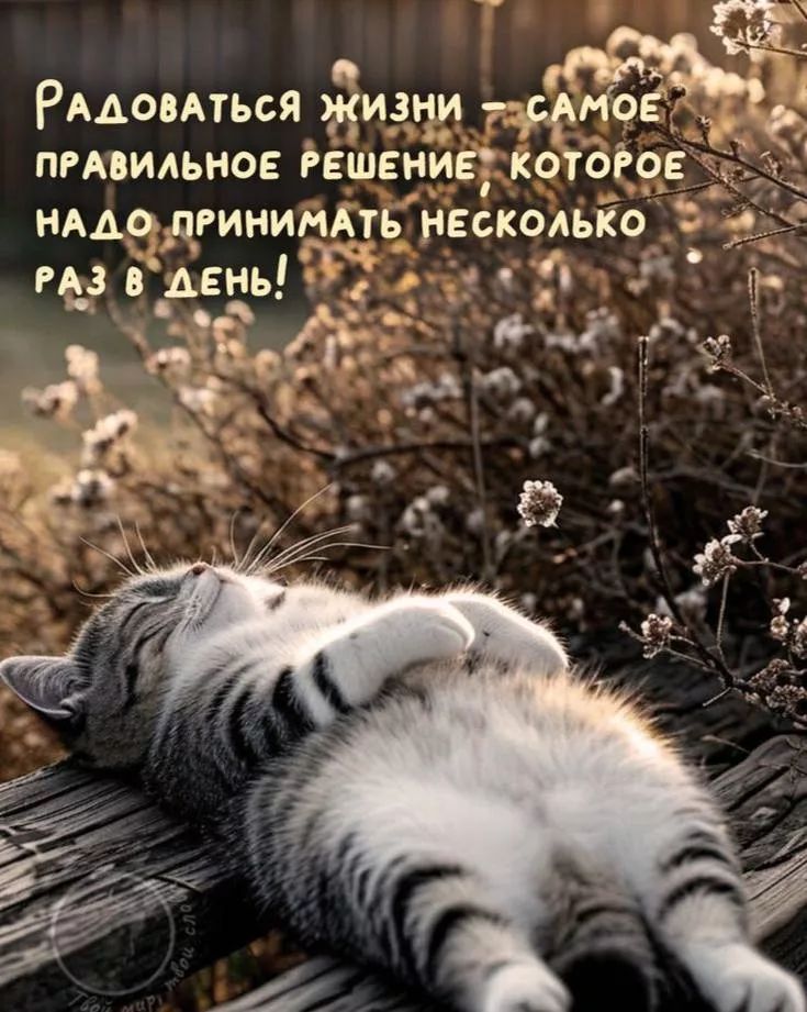 Радоваться жизни — самое правильное решение, которое надо принимать несколько раз в день!