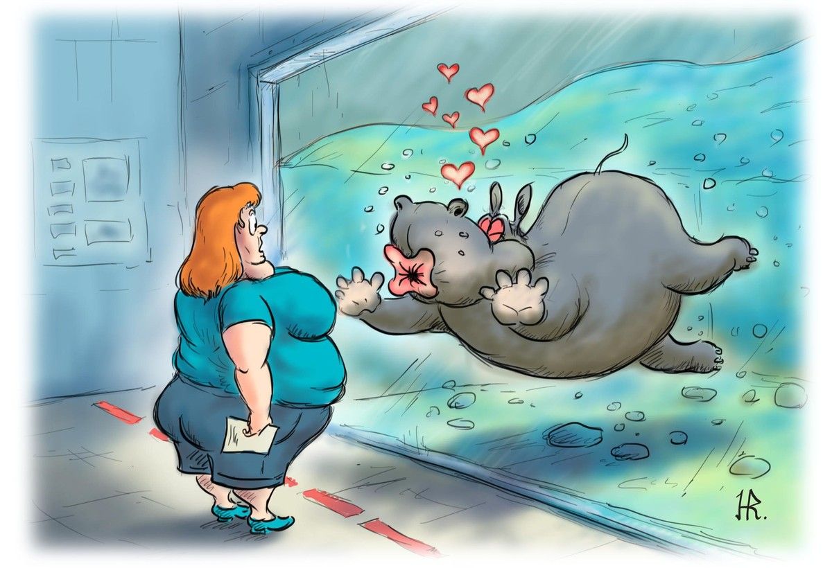 Толстая женщина смотрит на морского котика, который плещется у стекла и посылает hearts.