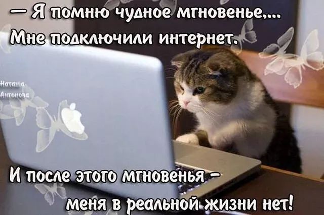 Я помню чудное мгновенье,... Мне подключили интернет. И после этого мгновенья - меня в реальной жизни нет!