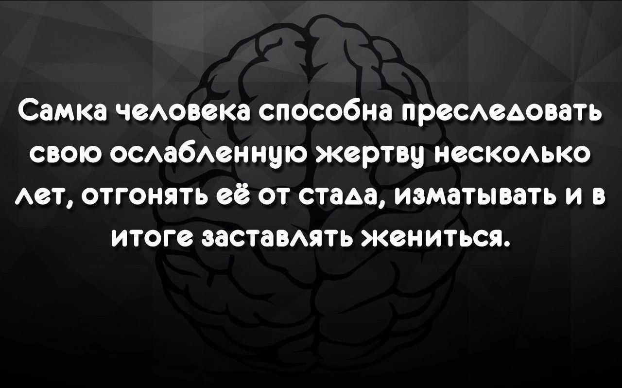 Самка человека способна преследовать свою ослабленную жертву несколько лет, отгонять её от стыда, изматывать и в итоге заставлять жениться.