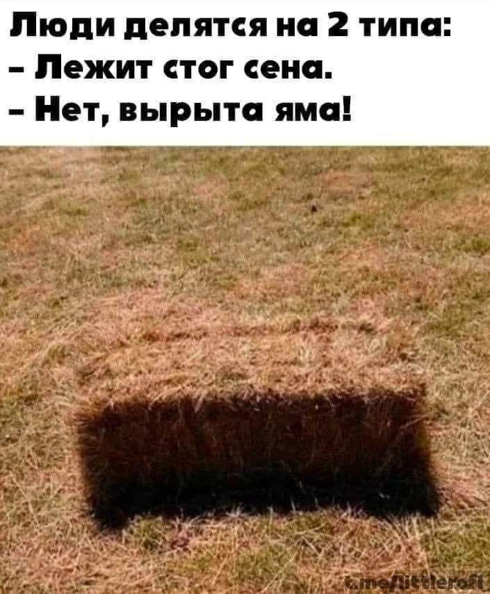 Люди делятся на 2 типа: - Лежит стог сена. - Нет, вырыта яма!