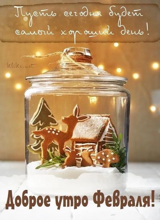 Пусть сегодня будет самый хороший день!
Доброе утро Февраля!