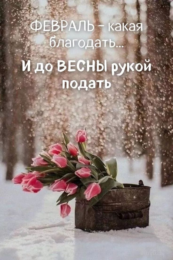 ФЕВРАЛЬ - какая благодать... И до ВЕСНЫ рукой подать