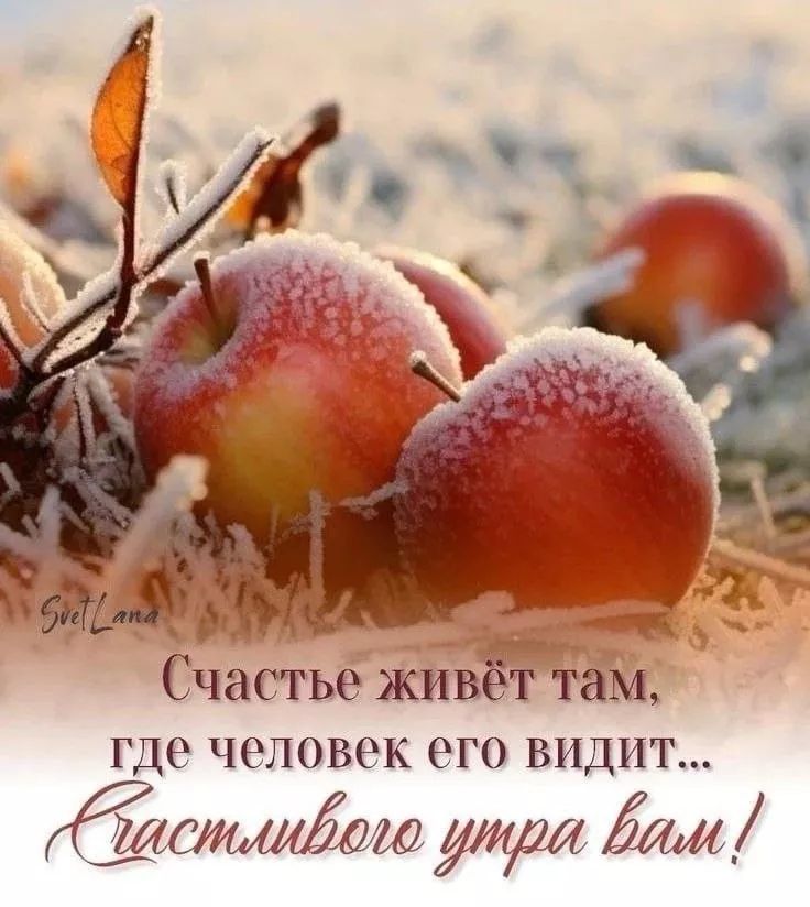 Счастье живёт там, где человек его видит... Счастливого утра вам!