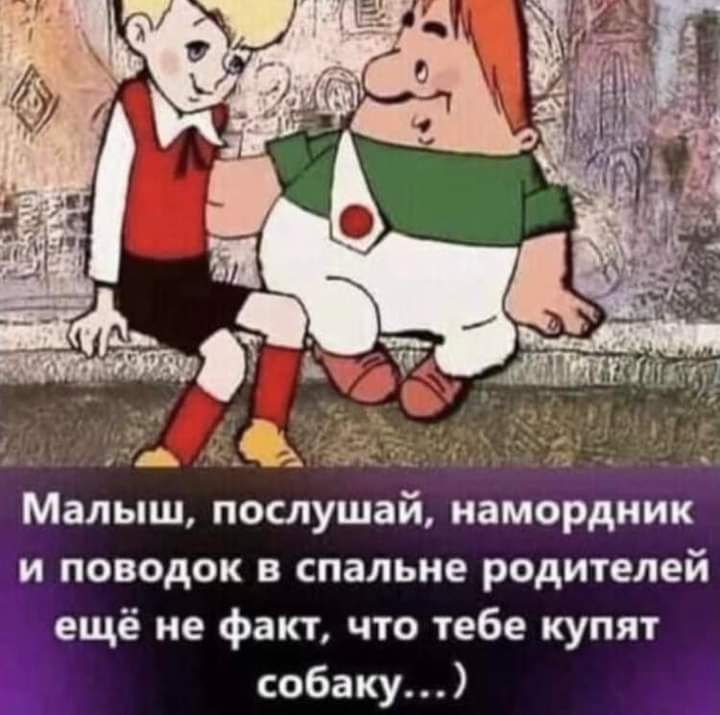 Малыш, послушай, наморник и поводок в спальне родителей ещё не факт, что тебе купят собаку…)
