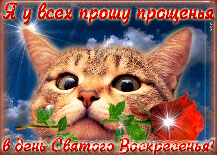 Я у всех прошу прощенья в день Святого Воскресенья!