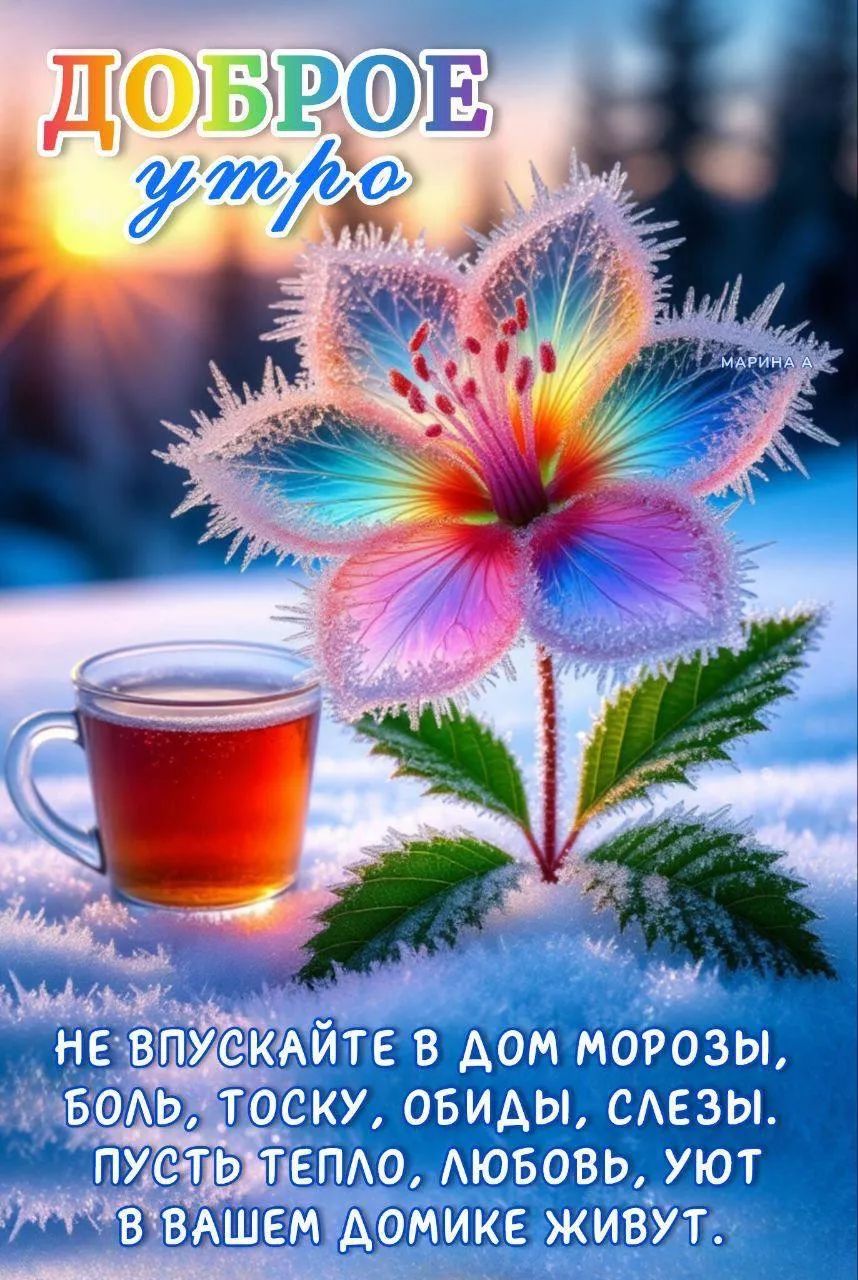 ДОБРОЕ утро
НЕ ВПУСКАЙТЕ В ДОМ МОРОЗЫ, БОЛЬ, Тоску, обиды, слезы. ПУСТЬ ТЕПЛО, ЛЮБОВЬ, УЮТ В ВАШЕМ ДОМИКЕ ЖИВУТ.