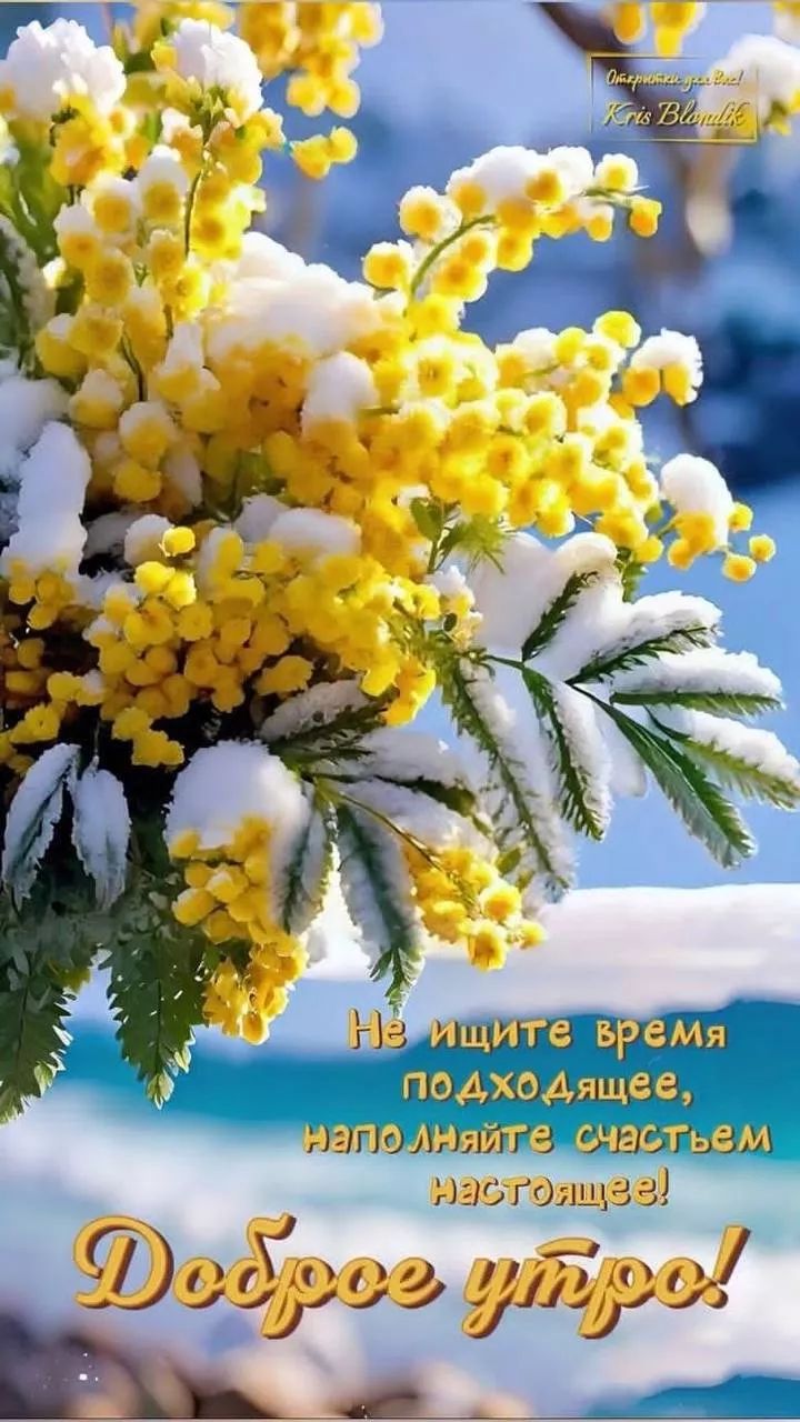 Не ищите время подходящее, найдёте счастьем настоящее! Доброе утро!