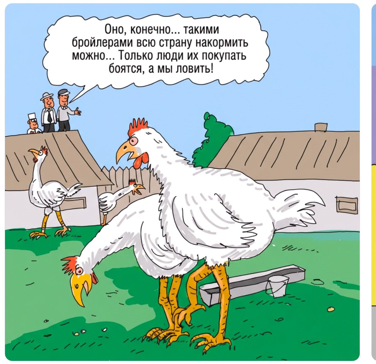 Оно, конечно... такими бройлерами всю страну накормить можно... Только люди их покупают боятся, а мы ловить!