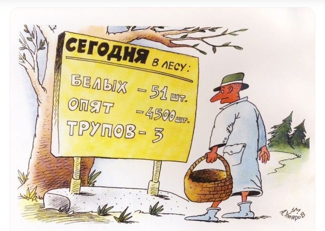 СЕГОДНЯ В ЛЕСУ: БЕЛЫХ - 51 ШТ. ОПЯТ - 4500 ШТ. ТРУПОВ - 3