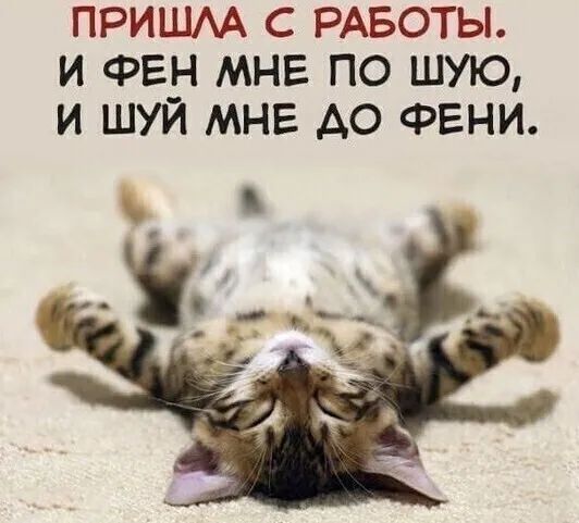 ПРИШАА С РАБОТЫ И ФЕН МНЕ ПО ШУЮ И ШУЙ МНЕ АО ФЕНИ ж _