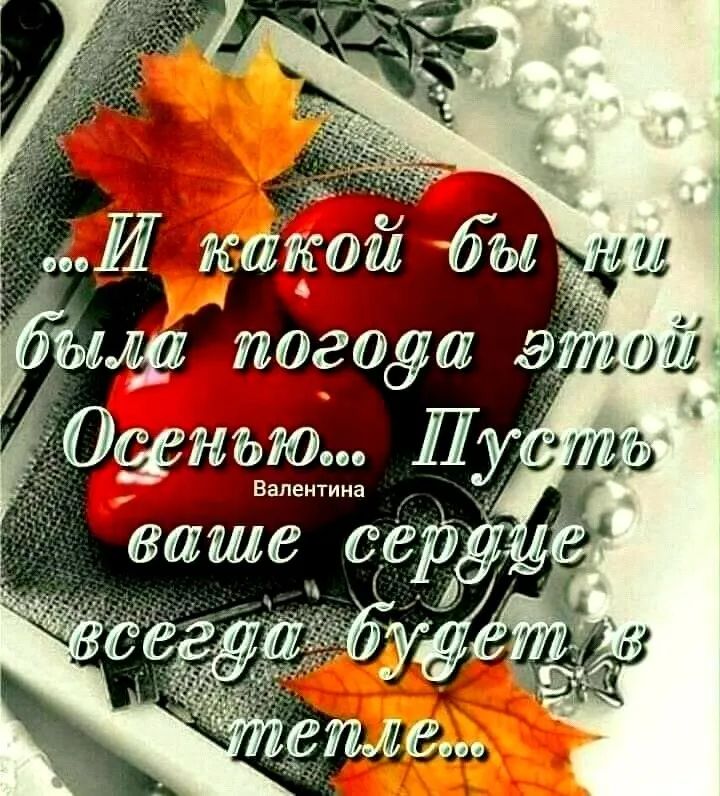 лоибы Ё _ ёгы Огауш ЦР117 ЛУ вшиЁнтЁерЁ __ 7 тт