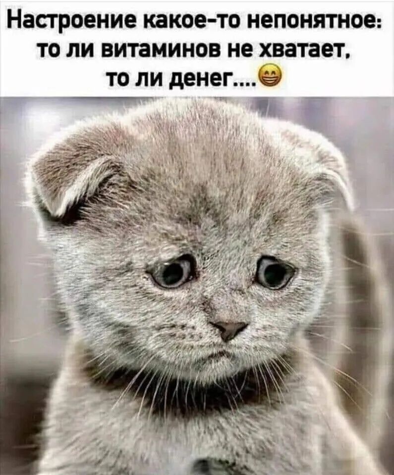 Настроение какое то непонятное то ли витаминов не хватает то ли денегёё Чи _