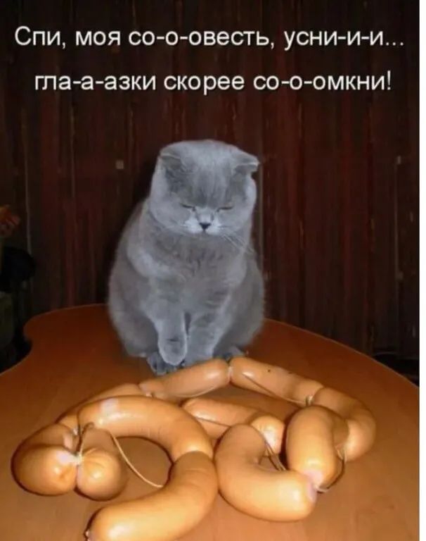 СПИ МОЯ со о овесть УСНИ И И та а азки скорее СО О ОМКНИ