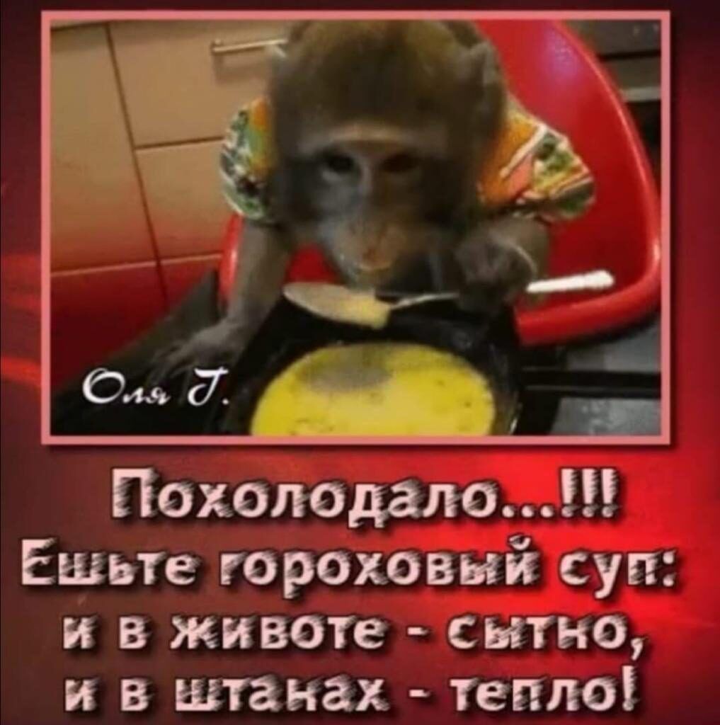 Похолодало Ешьте гороховый суп и в животе сытно и в штанах тепло