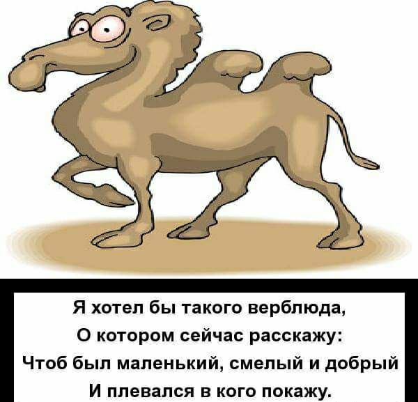 Я хотел бы такого верблюда О котором сейчас расскажу Чтоб был маленький смелый и добрый И плевался в кого покажу