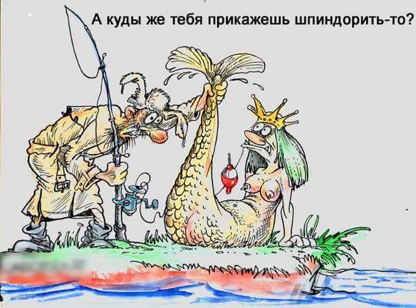 А куды же тебя прикажешь шпиндорить то