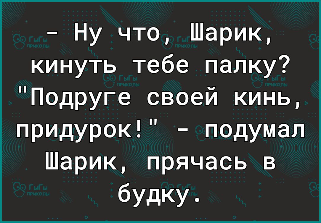 Ну что Шарик кинуть тебе палку Подруге своей кинь придурок подумал Шарик прячась в будку