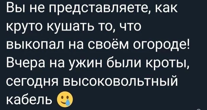 Вы не представляете как круто кушать то что выкопал на своём огороде Вчера на ужин были кроты сегодня высоковольтный кабель 0