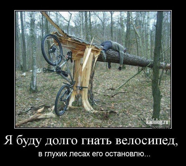 Я буду долго гнать велосипед В ГПУХИХ ПЕСаХ ЭГО ОСТЕНОВПЮ