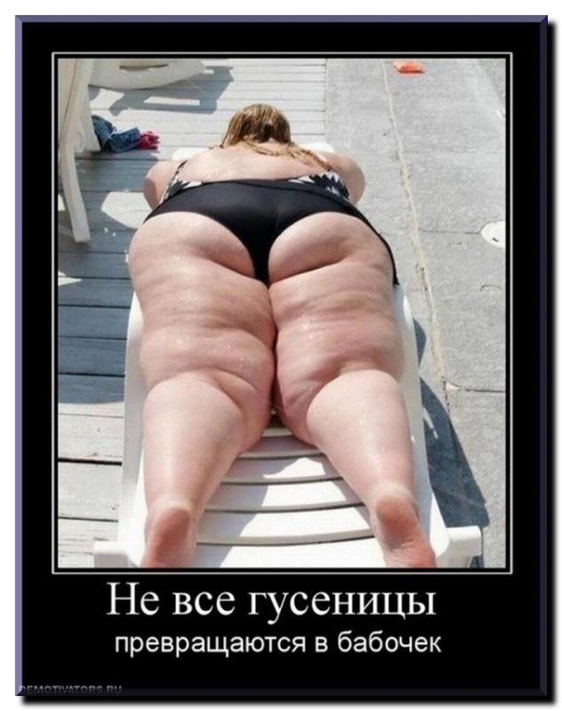 Не все гусеницы превращаются в бабочек