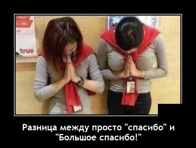 Разница между просто спасибо и Большое спасибо машины