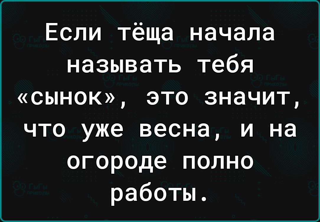 Если тёща начала называть тебя сынок это значит что уже весна и на огороде полно работы