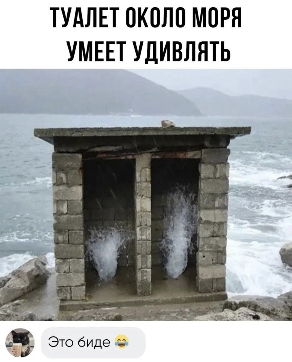 ТУАЛЕТ ОКОЛО МОРЯ УМЕЕТ УДИВЛЯТЬ Это биде