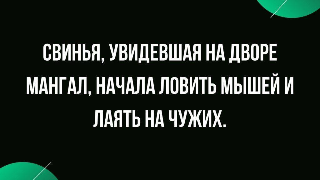 СВИНЬП УВИДЕВШАЯ НА ДВПРЕ МАНГАЛ НАЧАЛА ППВИТЬ МЫШЕЙ И ЛАНТЬ НА ЧУЖИХ
