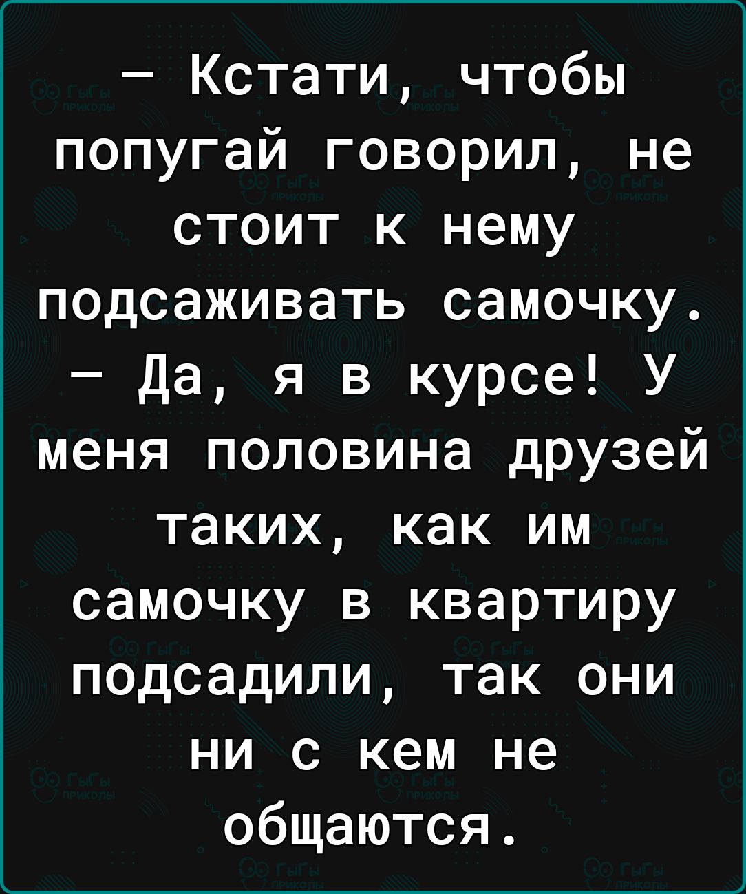 Кстати чтобы попугай говорил не стоит к нему подсаживать самочку да я в курсе У меня половина друзей таких как им самочку в квартиру подсадили так они ни с кем не общаются