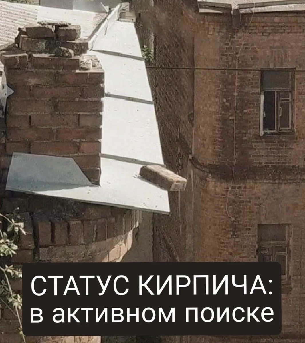 СТАТУС КИРПИЧА в активном поиске