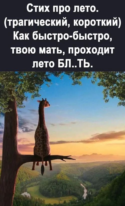 А Стих про пето трагический короткий Как быстро быстро твою мать проходит лето БЛТЬ
