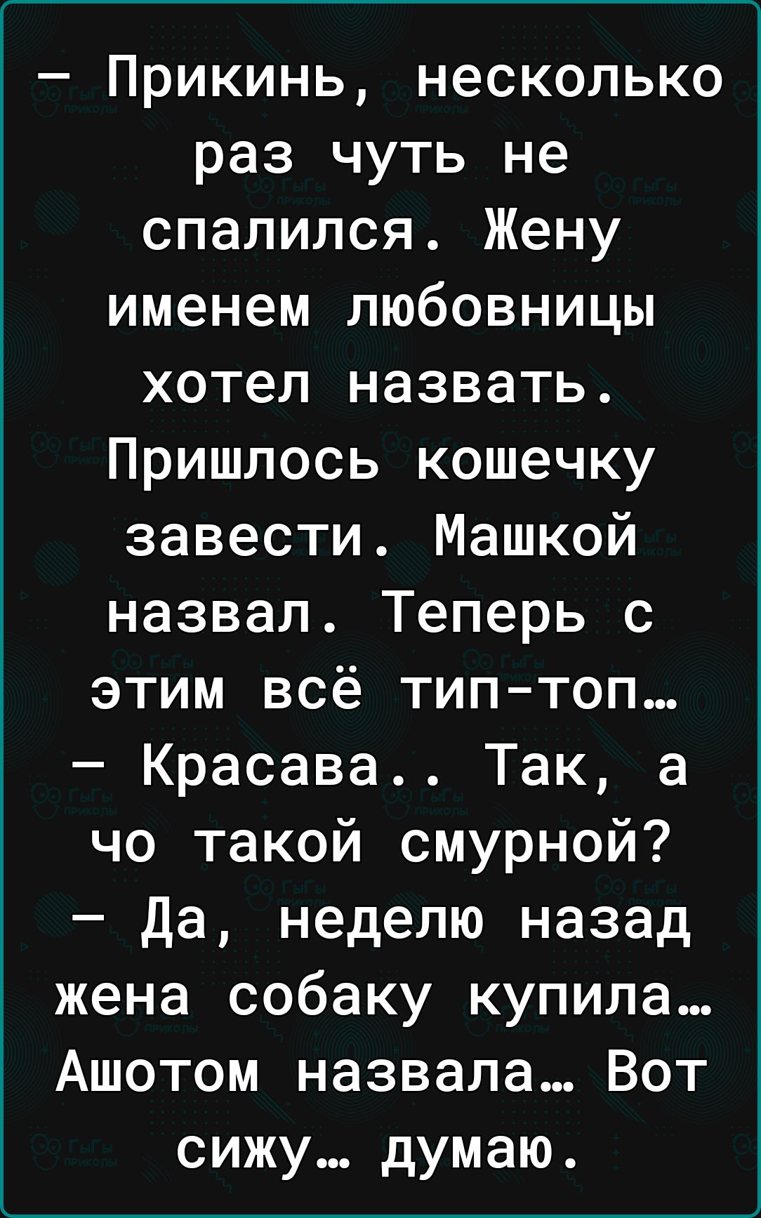 Прикинь несколько раз чуть не спалился Жену именем любовницы хотел назвать Пришлось кошечку завести Машкой назвал Теперь с этим всё тип топ Красава Так а чо такой смурной Да неделю назад жена собаку купила Ашотом назвала Вот сижу думаю