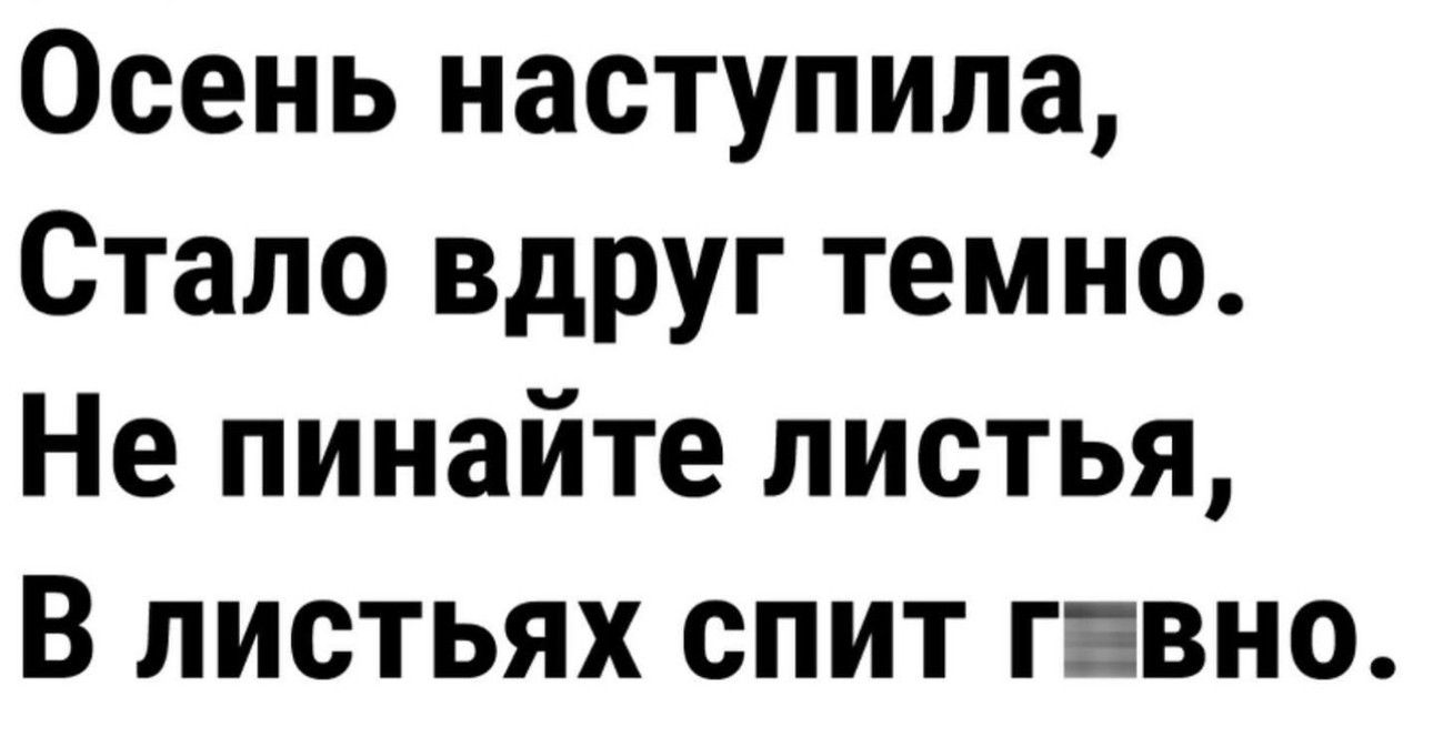 Осень наступила Стало вдруг темно Не пинайте листья В листьях спит гавно