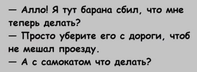Алло Я тут барана сбил что мне теперь делать Просто уберите его с дороги чтоб не мешал проеду А самокотом что делать