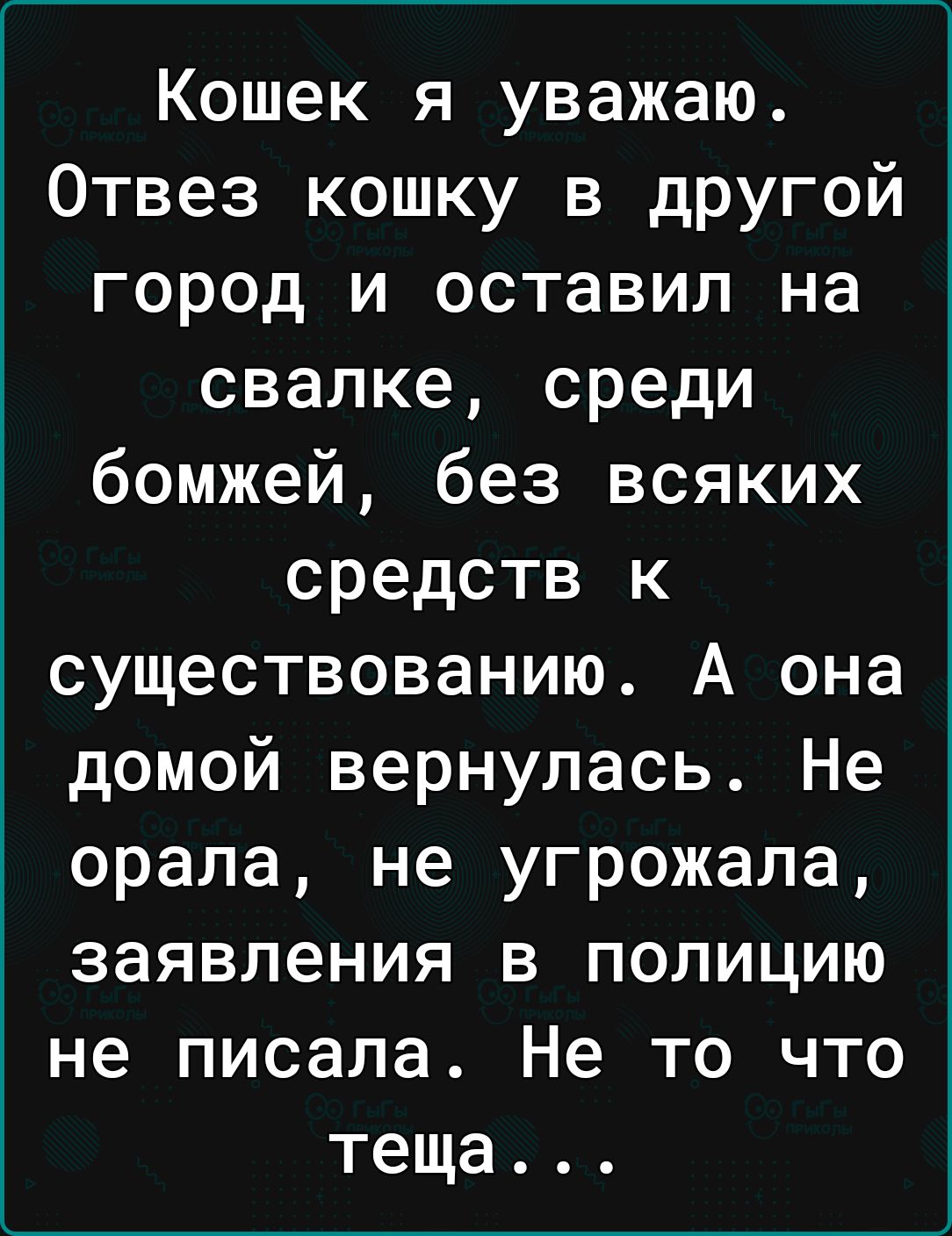 Кошек я уважаю Отвез кошку в другой город и оставил на свалке среди бомжей без всяких средств к существованию А она домой вернулась Не орала не угрожала заявления в полицию не писала Не то что теща
