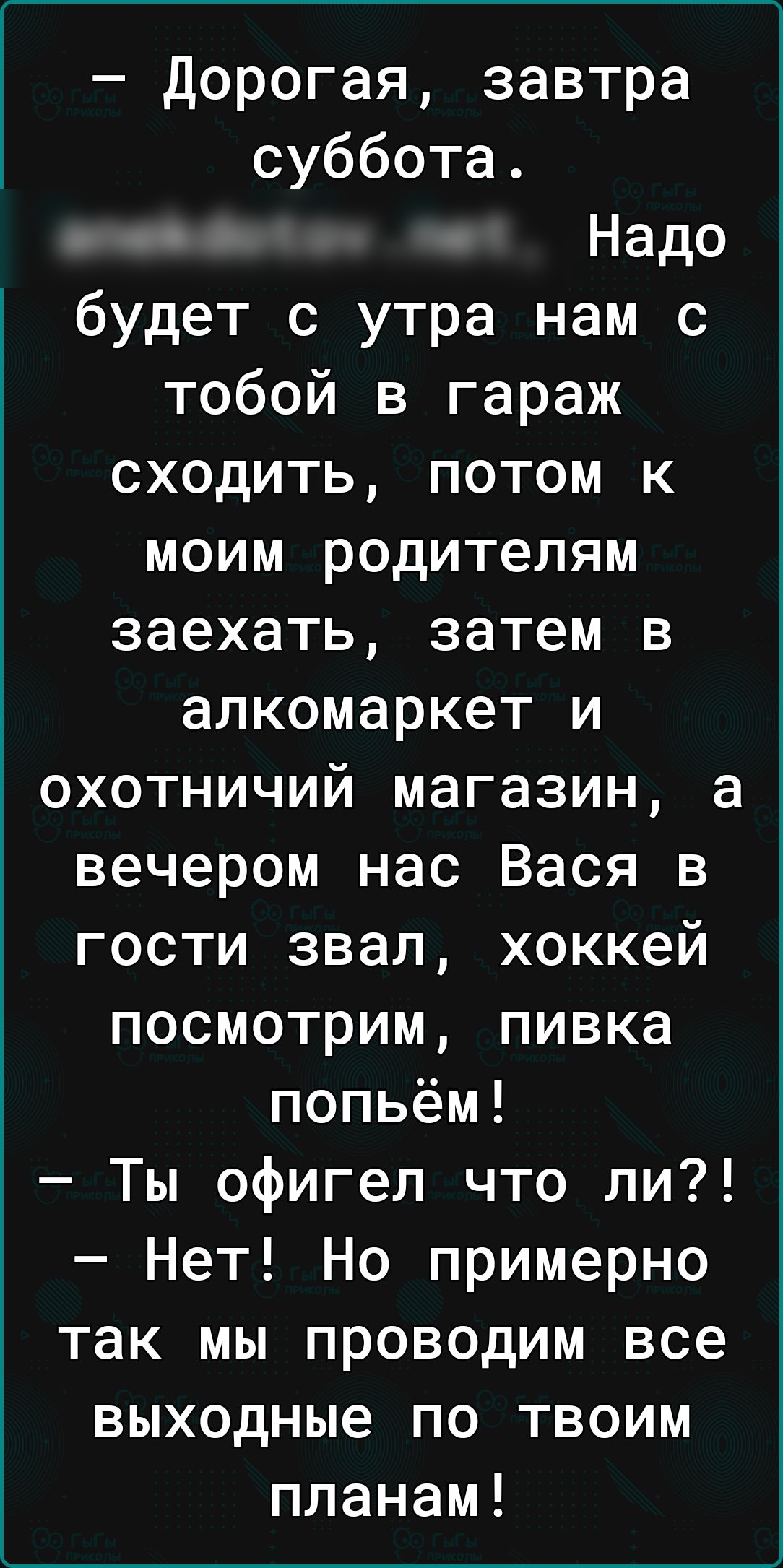 Дорогая завтра суббота апекоотомпет Надо будет с утра нам с тобой в гараж сходить потом к моим родителям заехать затем в алкомаркет и охотничий магазин а вечером нас Вася в гости звал хоккей посмотрим пивка попьём Ты офигел что ли Нет На примерно так мы проводим все выходные по твоим планам