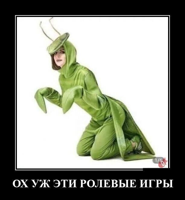 ОХ УЖ ЭТИ РОЛЕВЫЕ ИГРЫ
