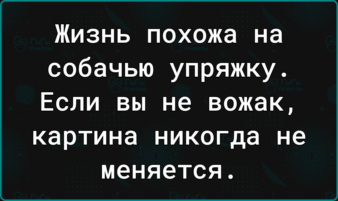 Жизнь похожа на собачью упряжку Если вы не вожак картина никогда не меняется