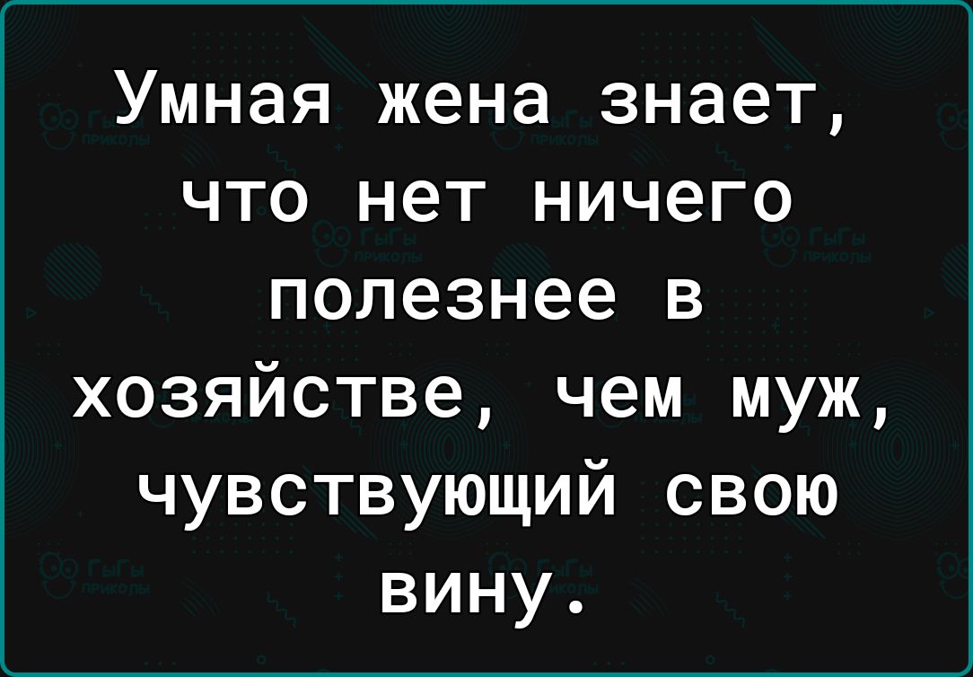 Умная жена знает что нет ничего полезнее в хозяйстве чем муж чувствующий свою вину