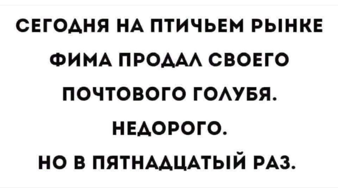 сегоАня НА птичьем рынке ФИМА ПРОААА своего почтового гомвя недорого но в пятнмцпый РАЗ