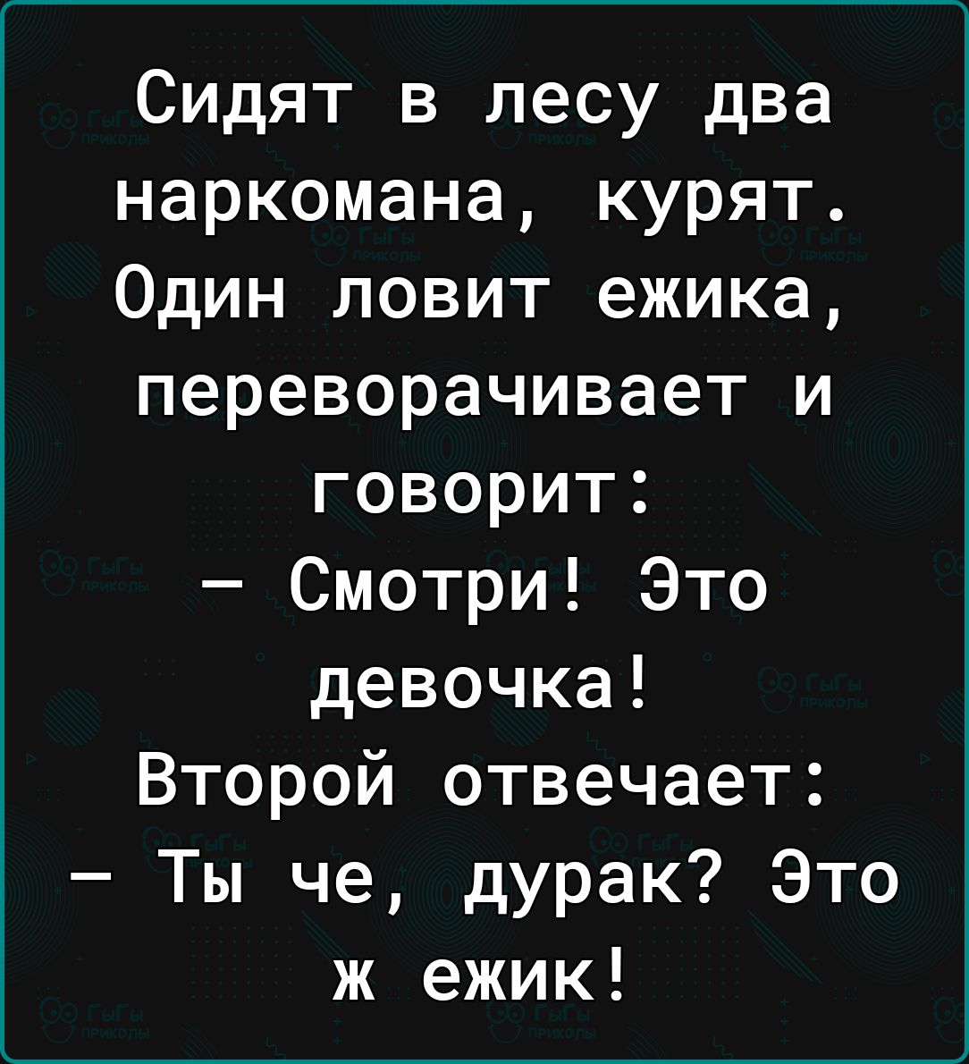 Сидят в лесу два наркомана курят Один ловит ежика переворачивает и говорит Смотри Это девочка Второй отвечает Ты че дурак Это ж ежик