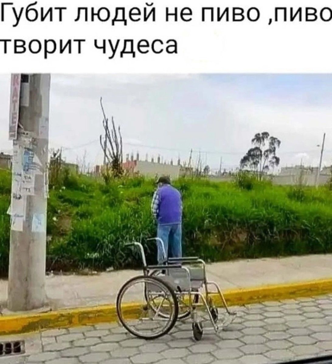 Губит людей не пиво пиво творит чудеса