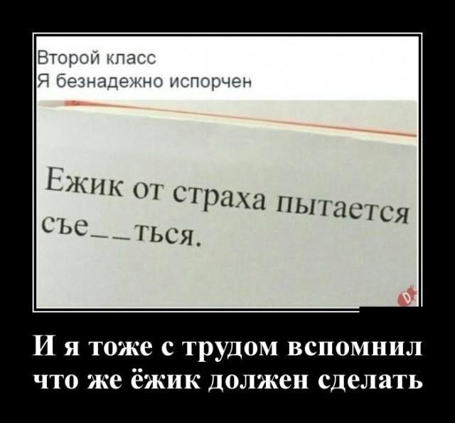 _ т кпк сгрих сьс _ 11 пьнпсц я _тьсж И я тоже с трудом вспомнил что же ёжик должен сделать