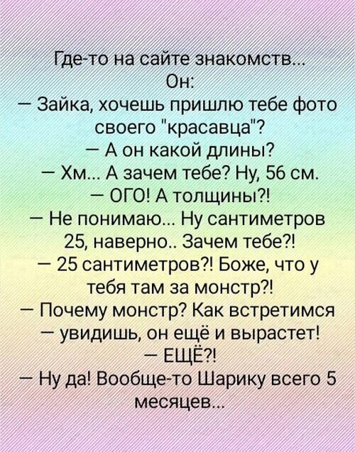 Гдето на сайте знакомств Он Зайка хочешь пришлю тебе фото своего красавца А он какой длины Хм А зачем тебе Ну 56 см ОГО А толщины Не понимаю Ну сантиметров 25 наверно Зачем тебе 25 сантиметров Боже что у тебя там за монстр Почему монстр Как встретимся увидишь он ещё и вырастет ЕЩЁ Ну да Вообще то Шарику всего 5 месяцев