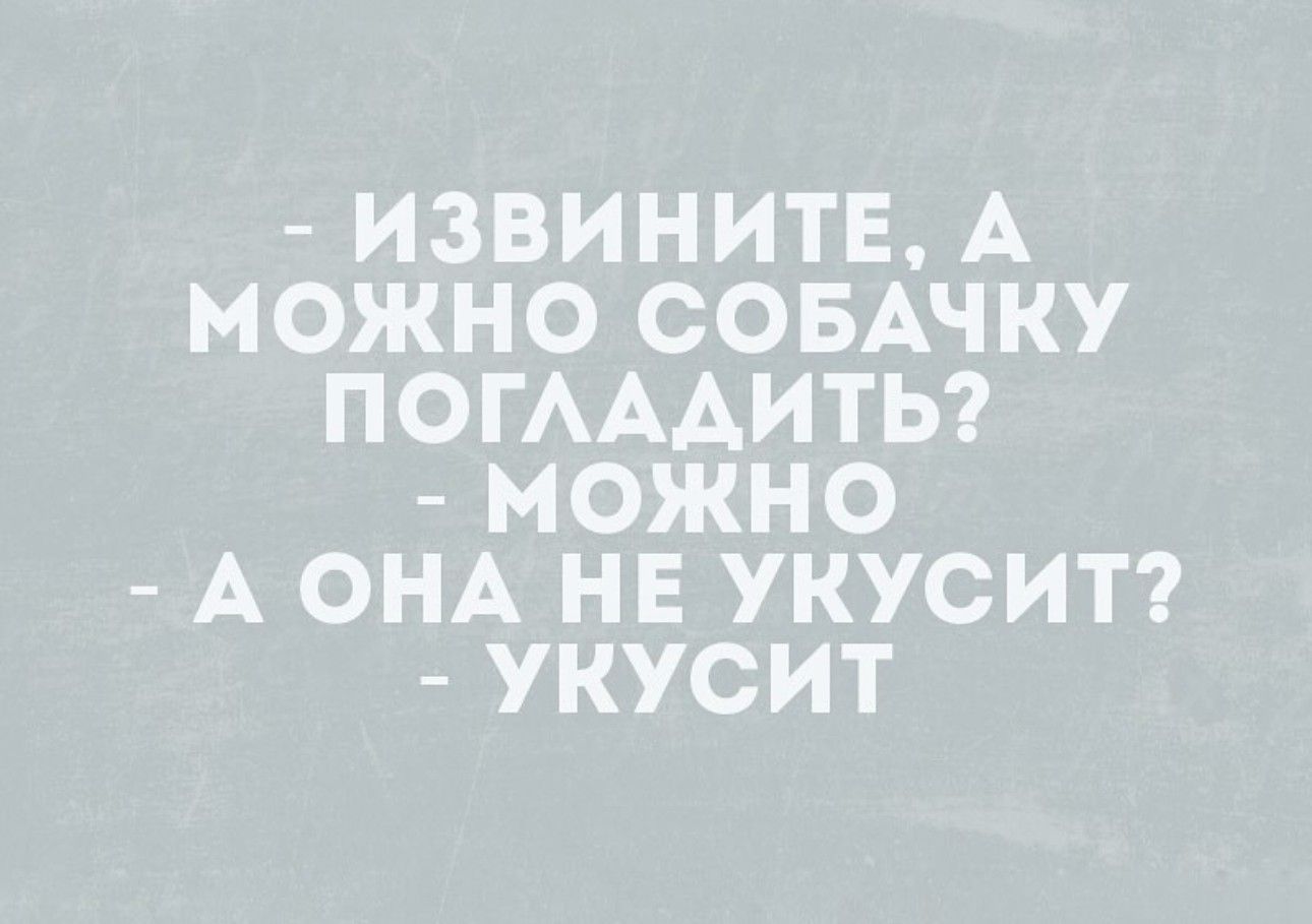 ИЗВИНИТЕ А МОЖНО СОБАЧКУ ПОГАААИТЬ МОЖНО А ОНА НЕ УКУСИТ УКУСИТ