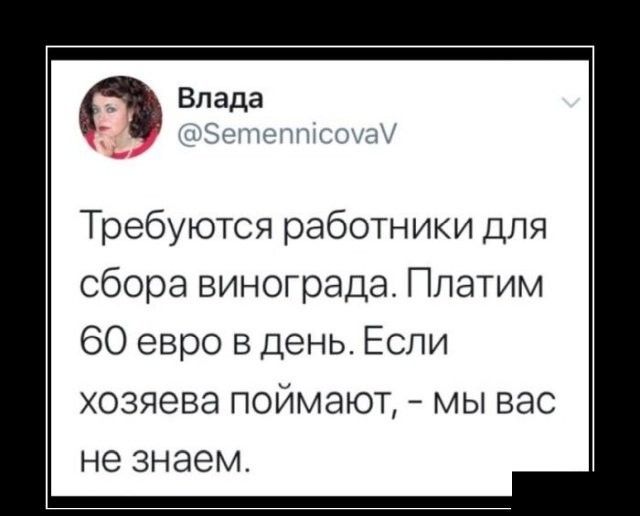 п Влада Требуются работники для сбора винограда Платим 60 евро в день Если хозяева поймают мы вас не знаем